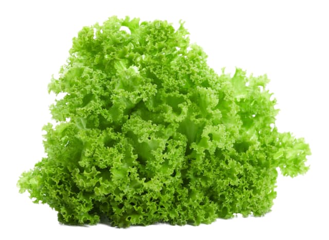 Lollo Bionda green 250 g