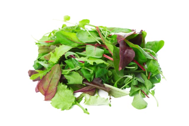 Mesclun Mix 