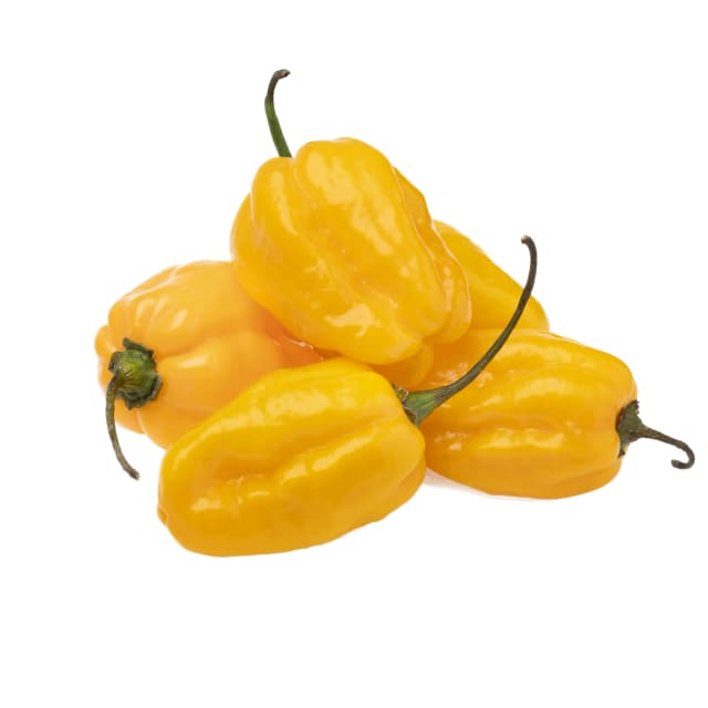 Habanero Yellow Holland 