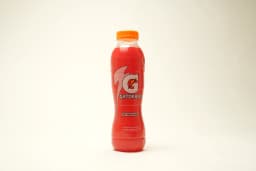Gatorade Fruit Punch Pet 495 ml - image 1