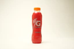 Gatorade Fruit Punch Pet 495 ml - image 2