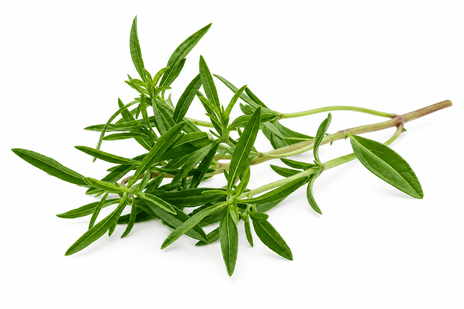 Green Thyme 200 g