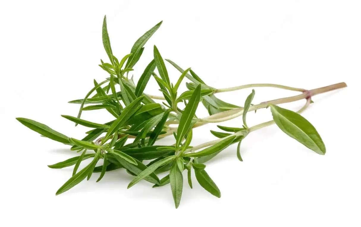 Green Thyme 200 g