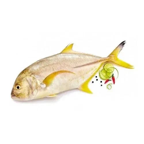 Para Faroojis 600 g