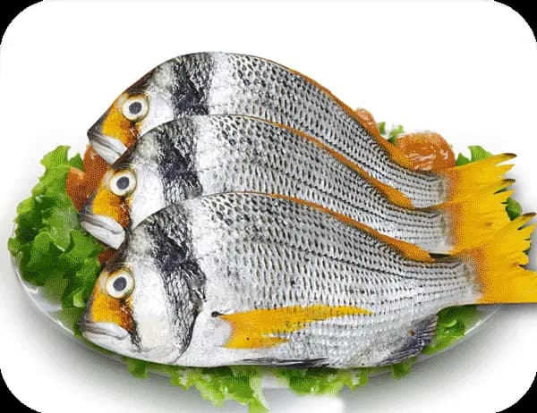 Faskhas 600 g