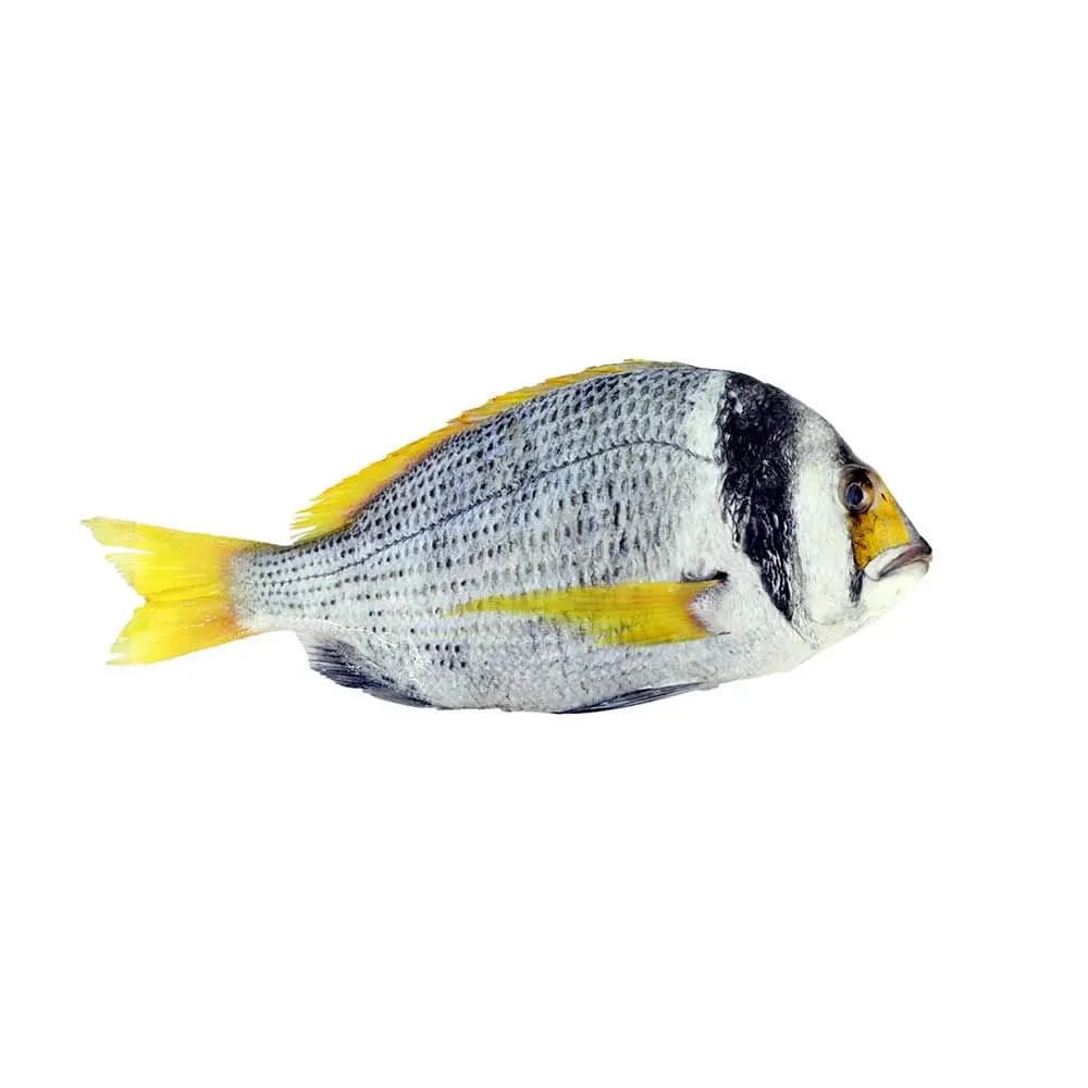 Faskhas 1 kg