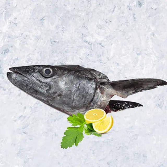 King Fish Head 600 g