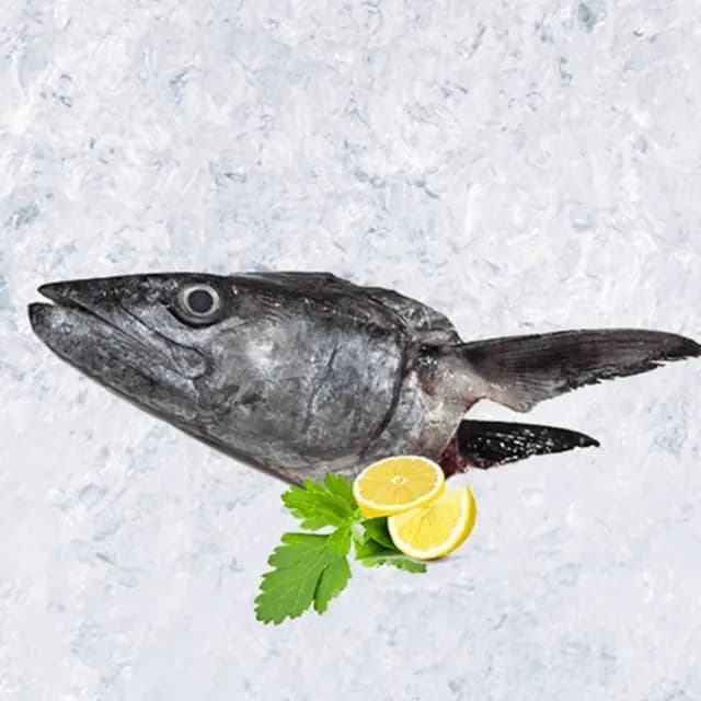 King Fish Head 1 kg