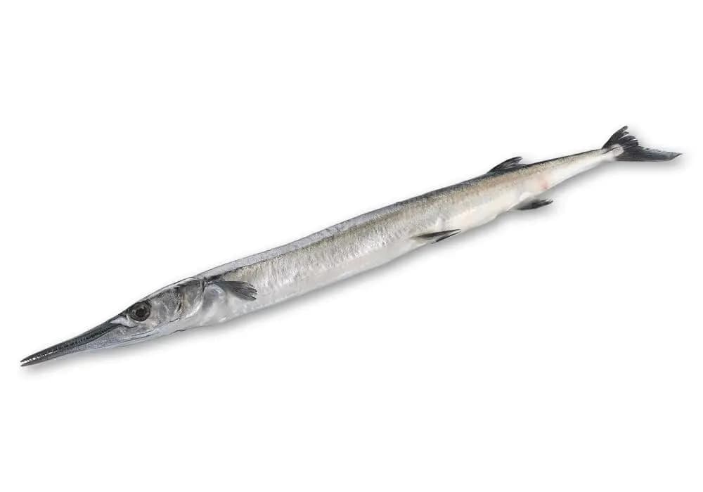 Koalan 600 g
