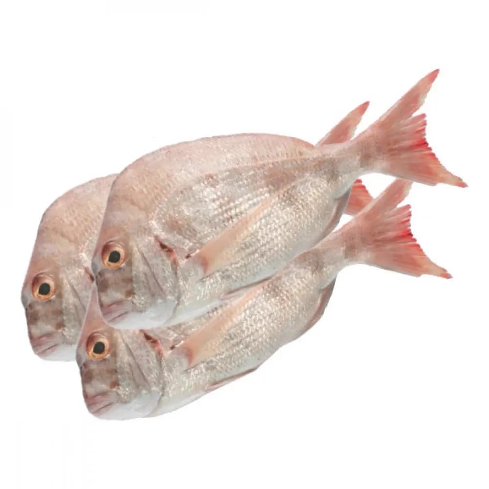 Kofar Small 600 g
