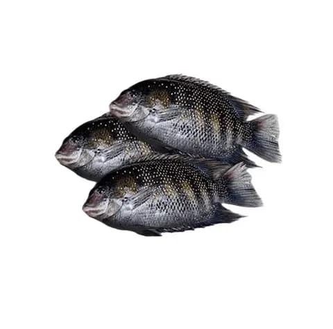 Karimeen 1 kg