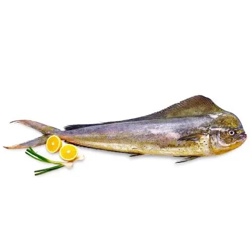 Pappan Fish 600 g