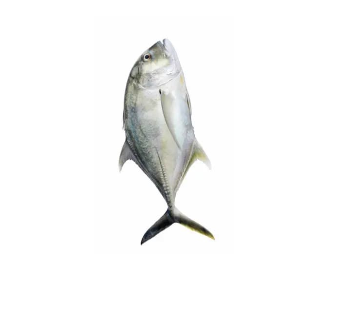 Para 1 kg