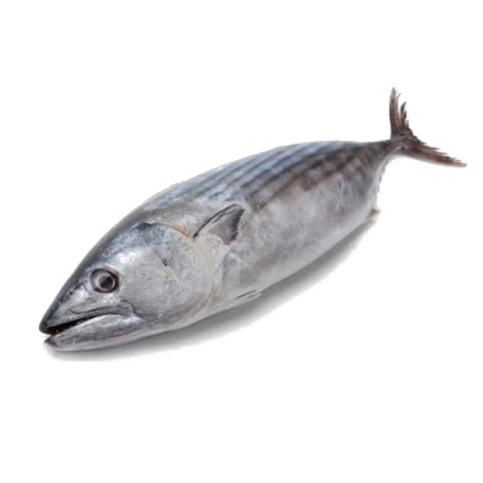 Tuna Fish 1 kg
