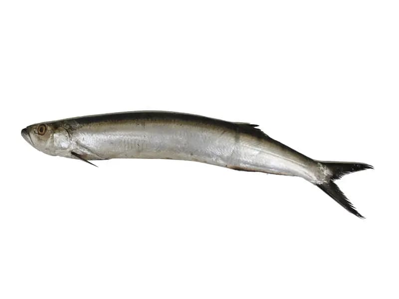 Vala 600 g