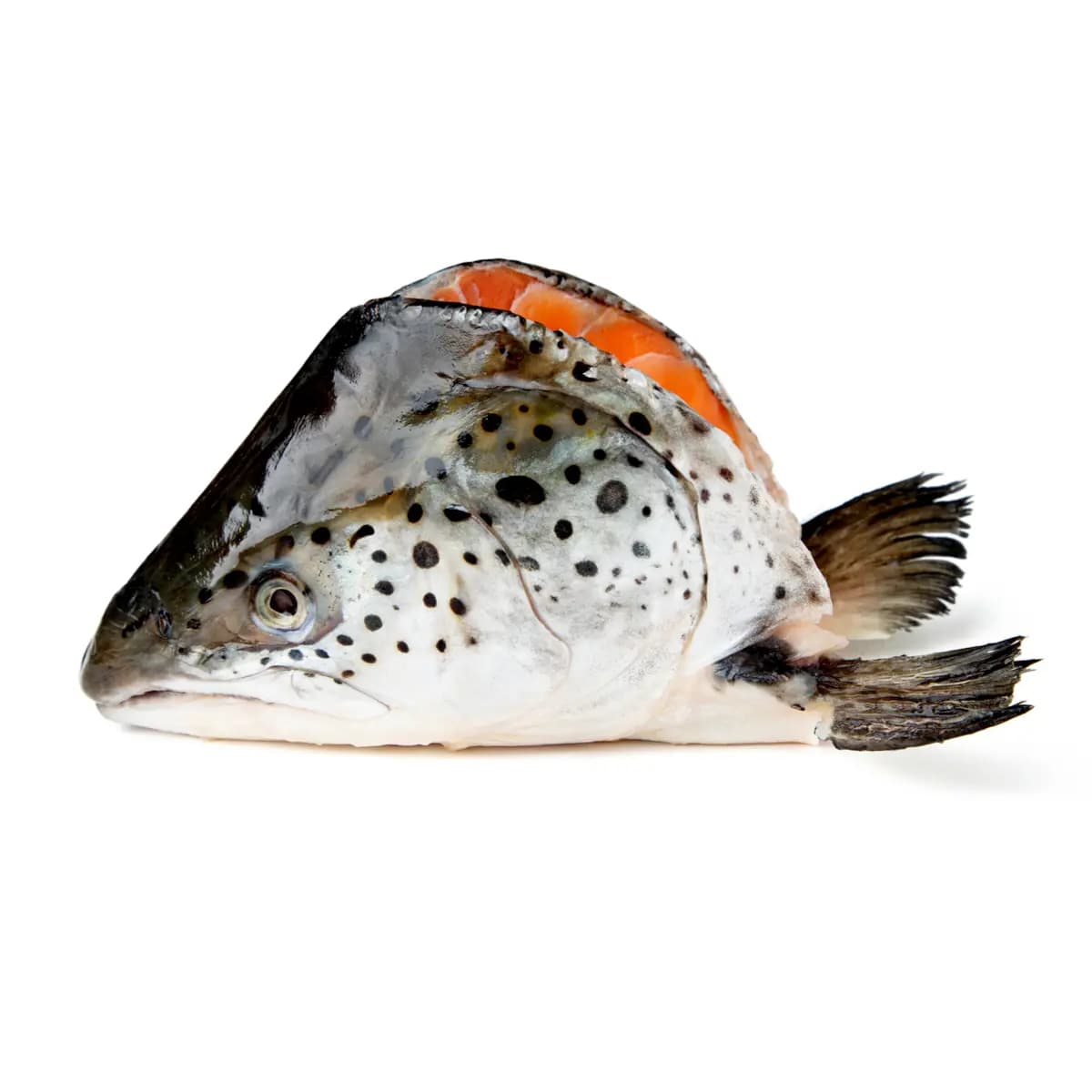 Salmon Fish Head 1 kg