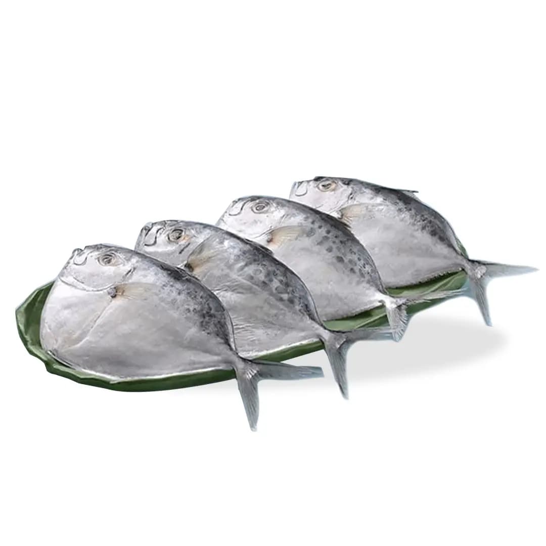 Mullen 1 kg