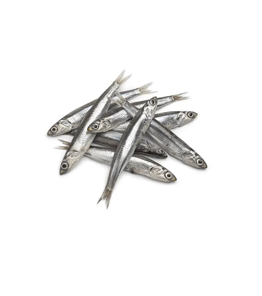 Anchovy Import 600 g