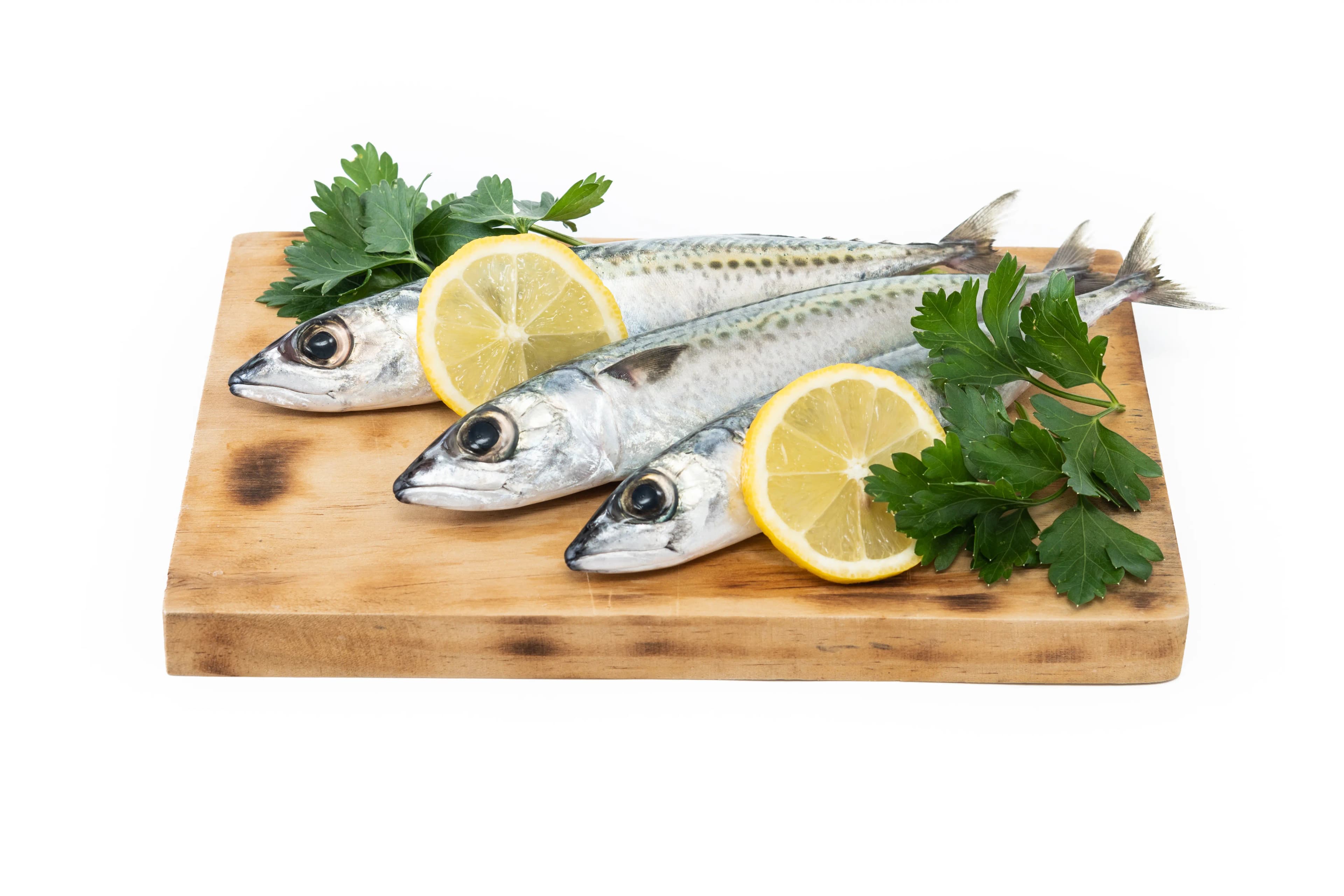 White Sardine Import 1 kg