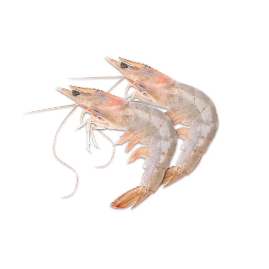 Sea White Prawns Import 600 g