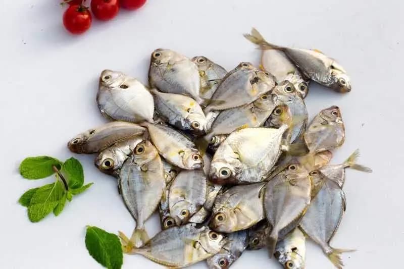 Mullan Small Import 1 kg