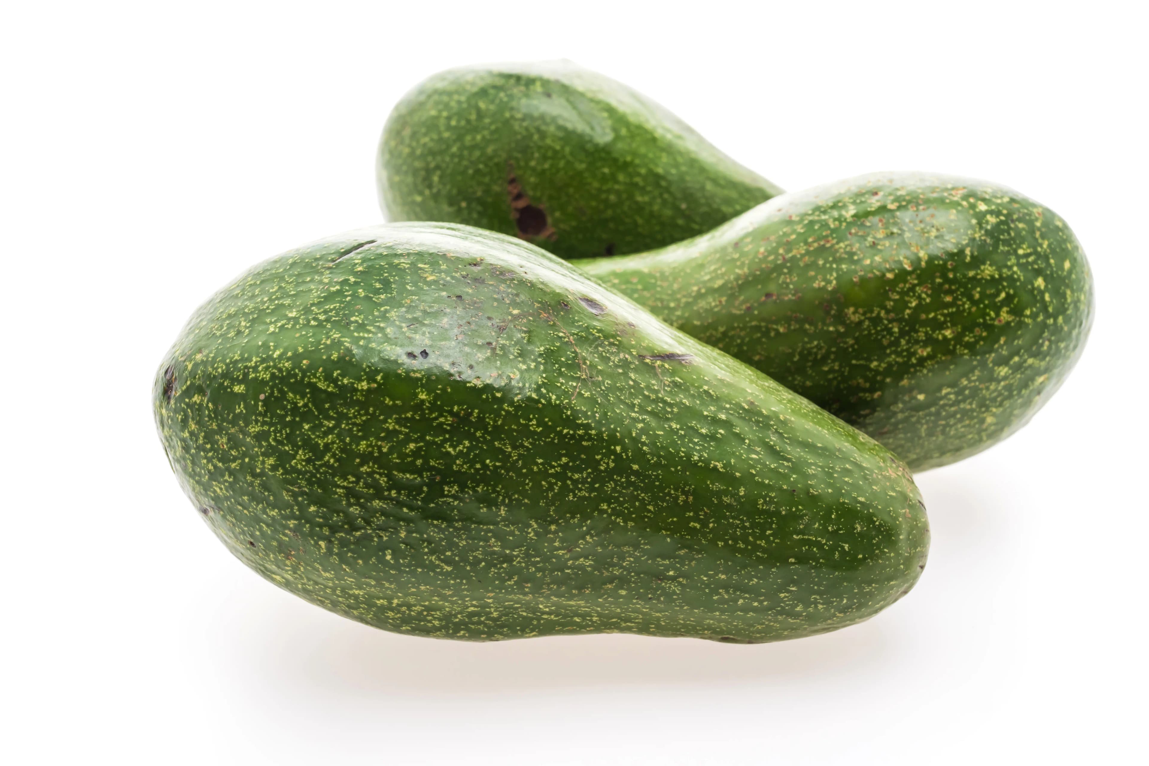 Avocado Uganda Kgs 1 kg
