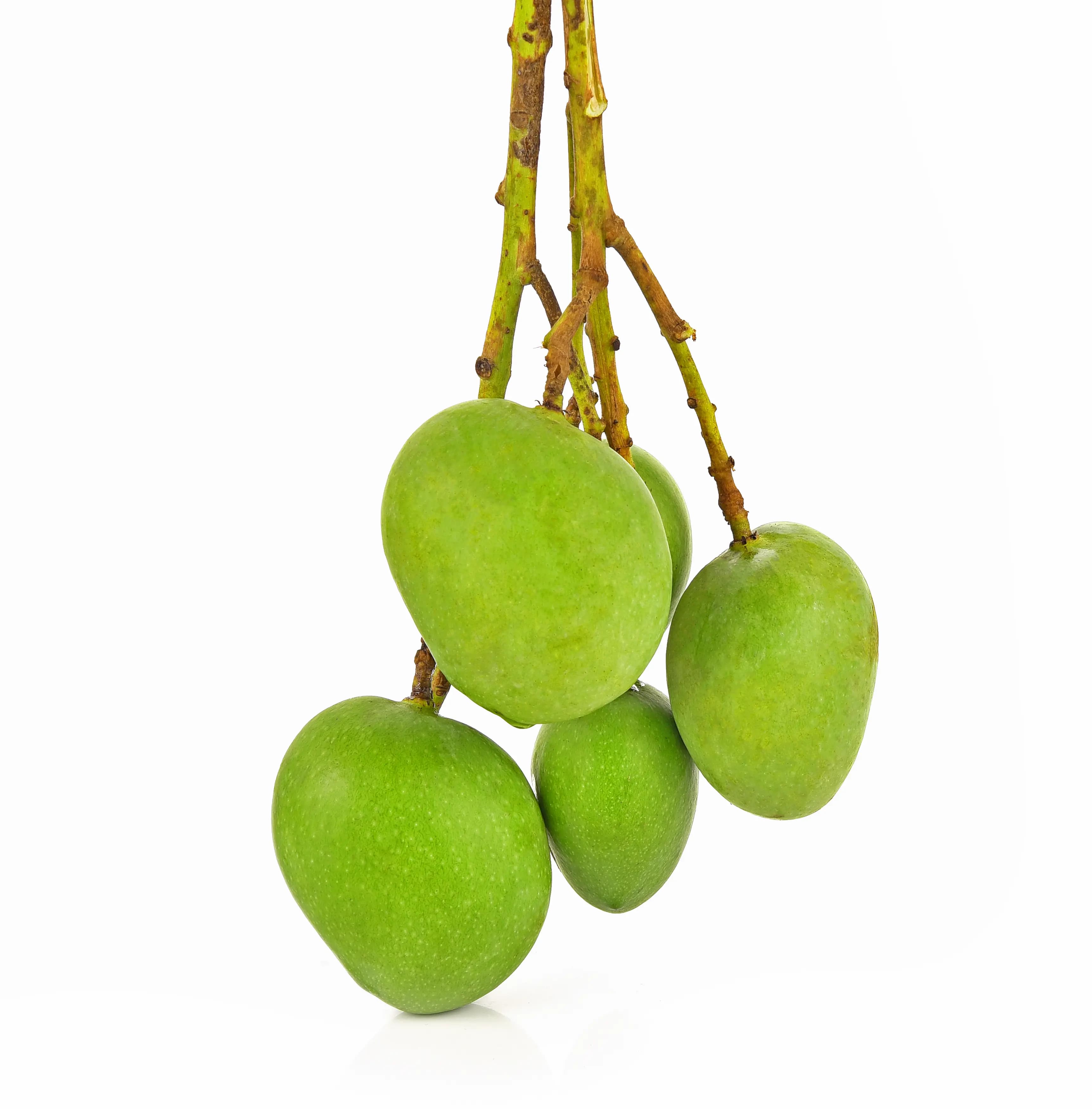 Kerala Tender Mango 600 g