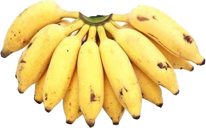 Indian Banana Small 2 kg