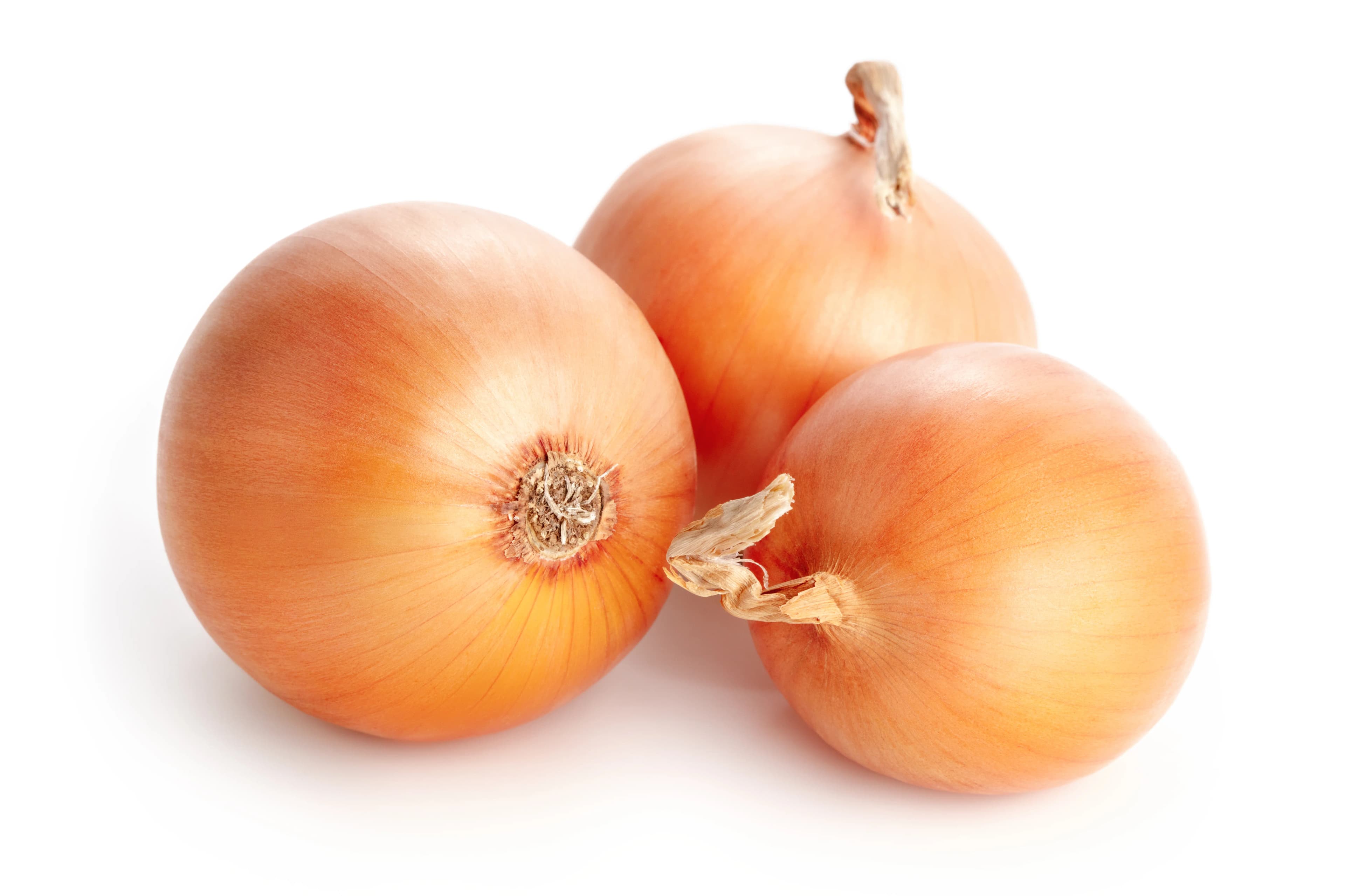 Onion Brown 2 g