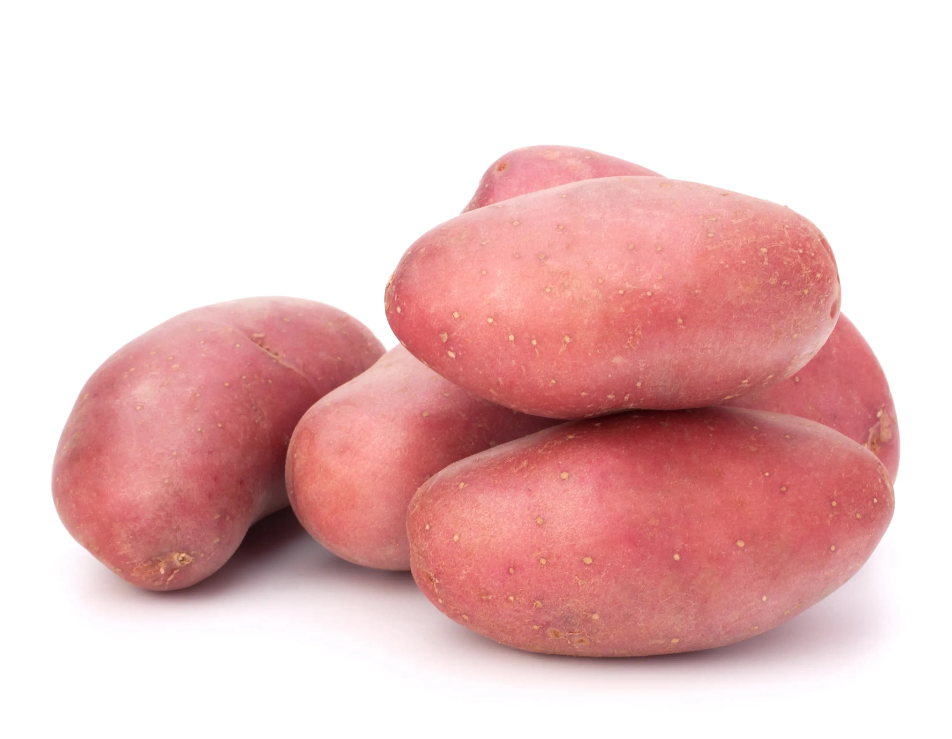 Potato Red 600 g