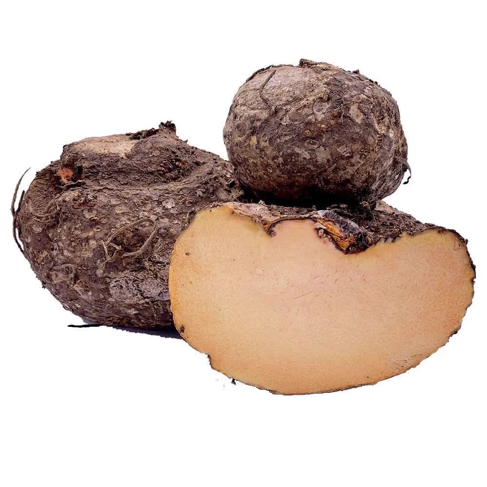 Suran (Chena) India 600 g