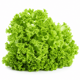 Lollo Bionda green 250 g - image 2