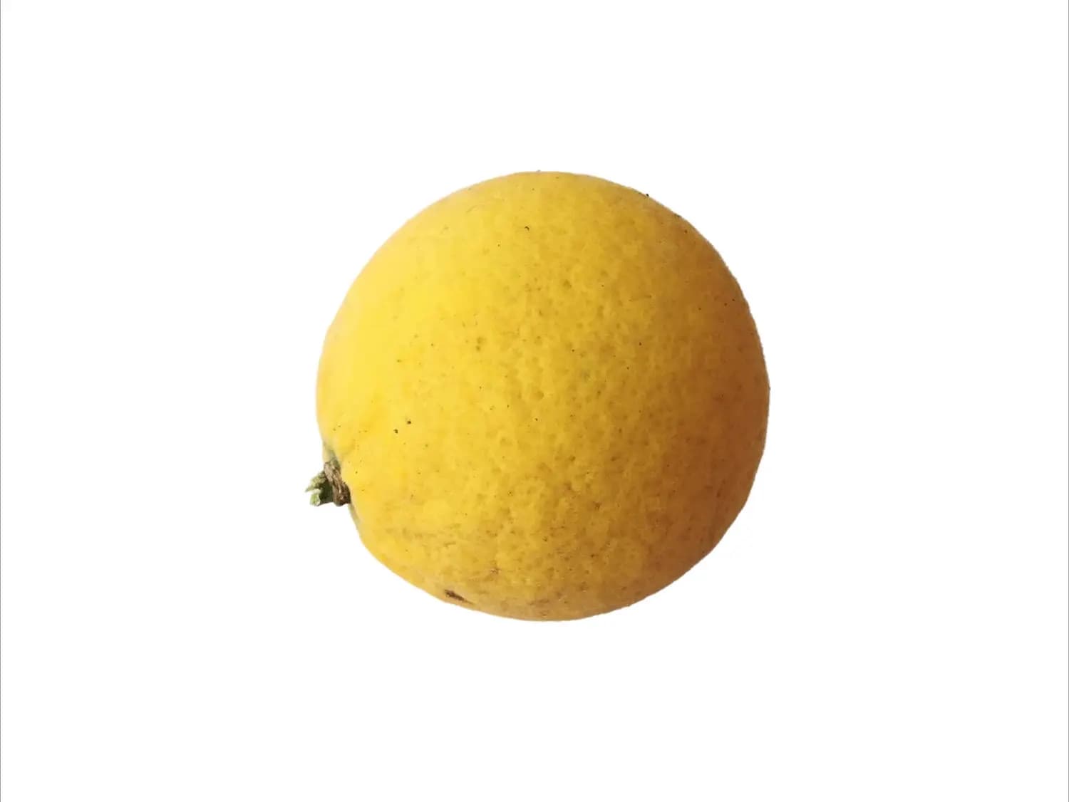 Curry Lemon India 500 g
