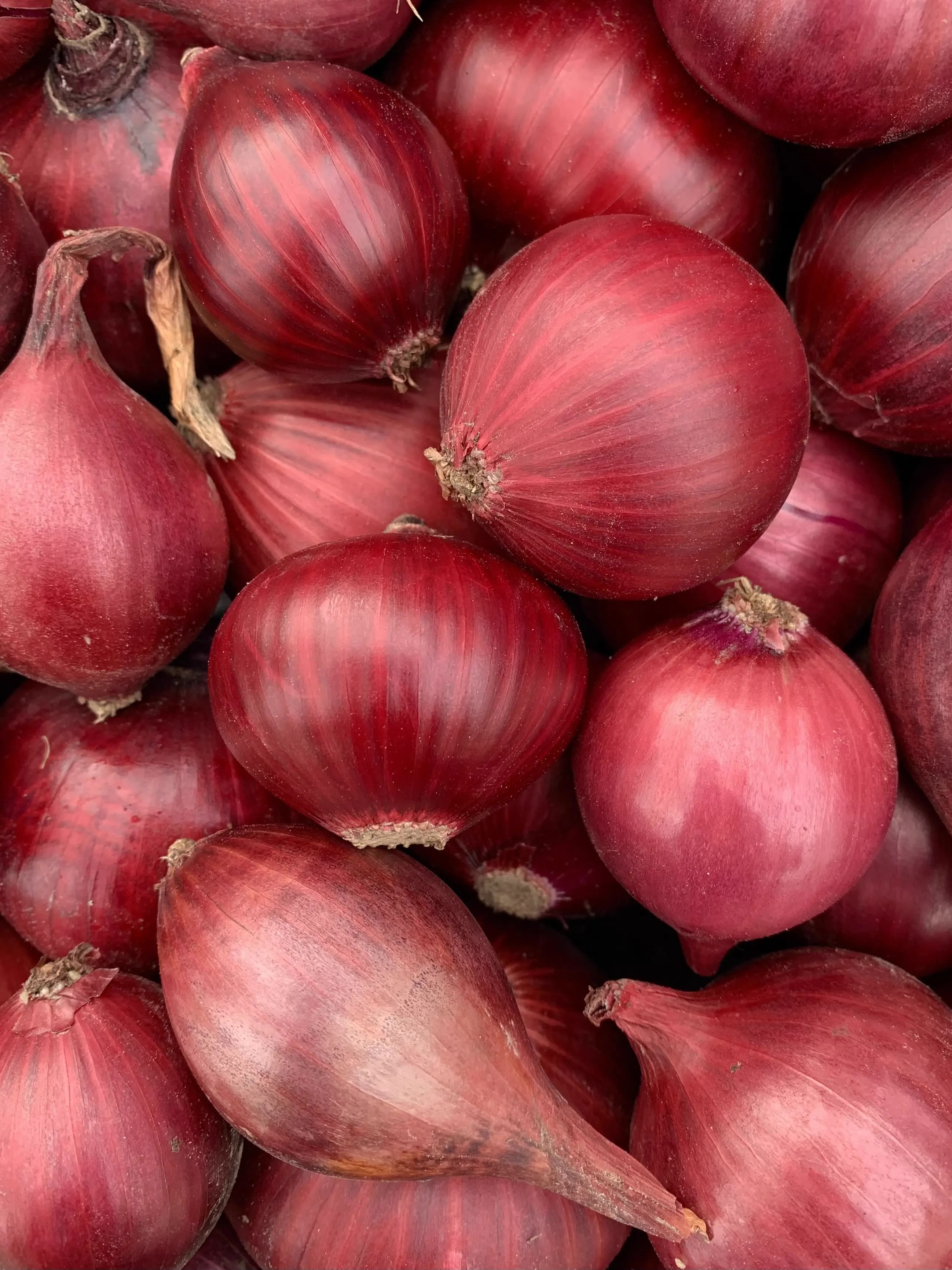 Onion Turkey 500 g
