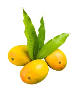 Himam Pasanth Mango 600 g - image 1