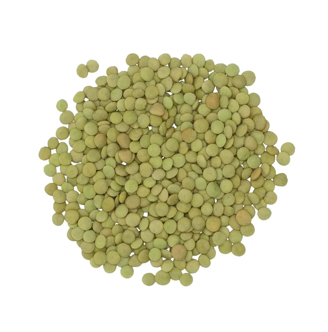 Green Lentils 250 g