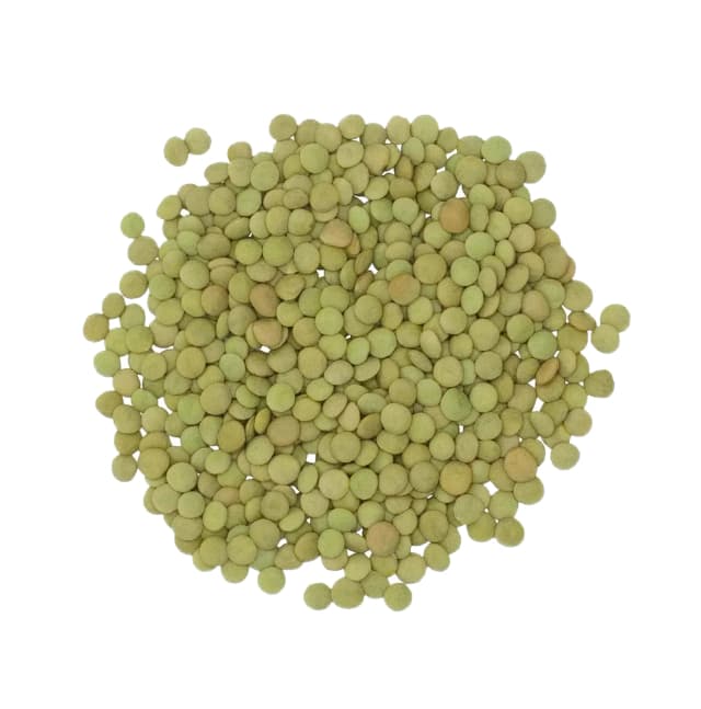 العدس الأخضر