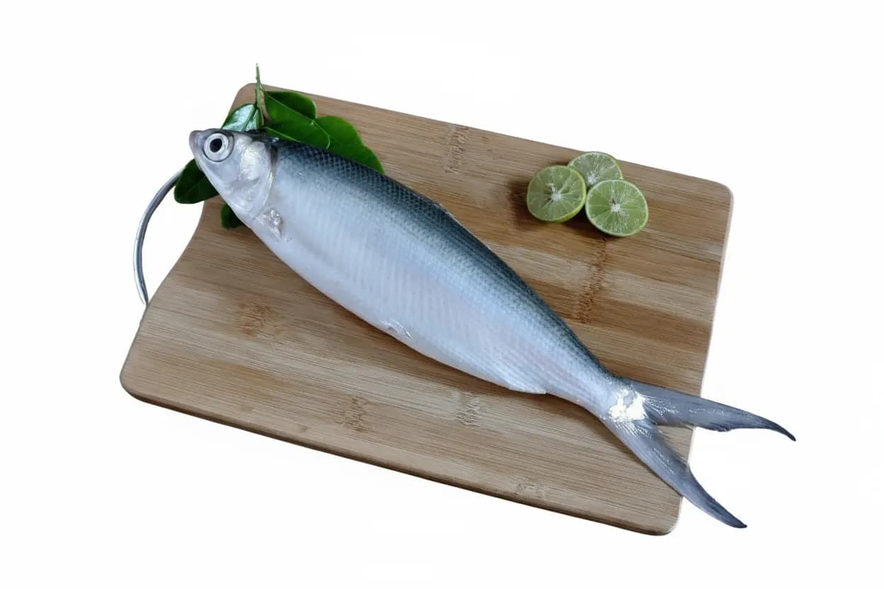 Milk Fish 1 kg