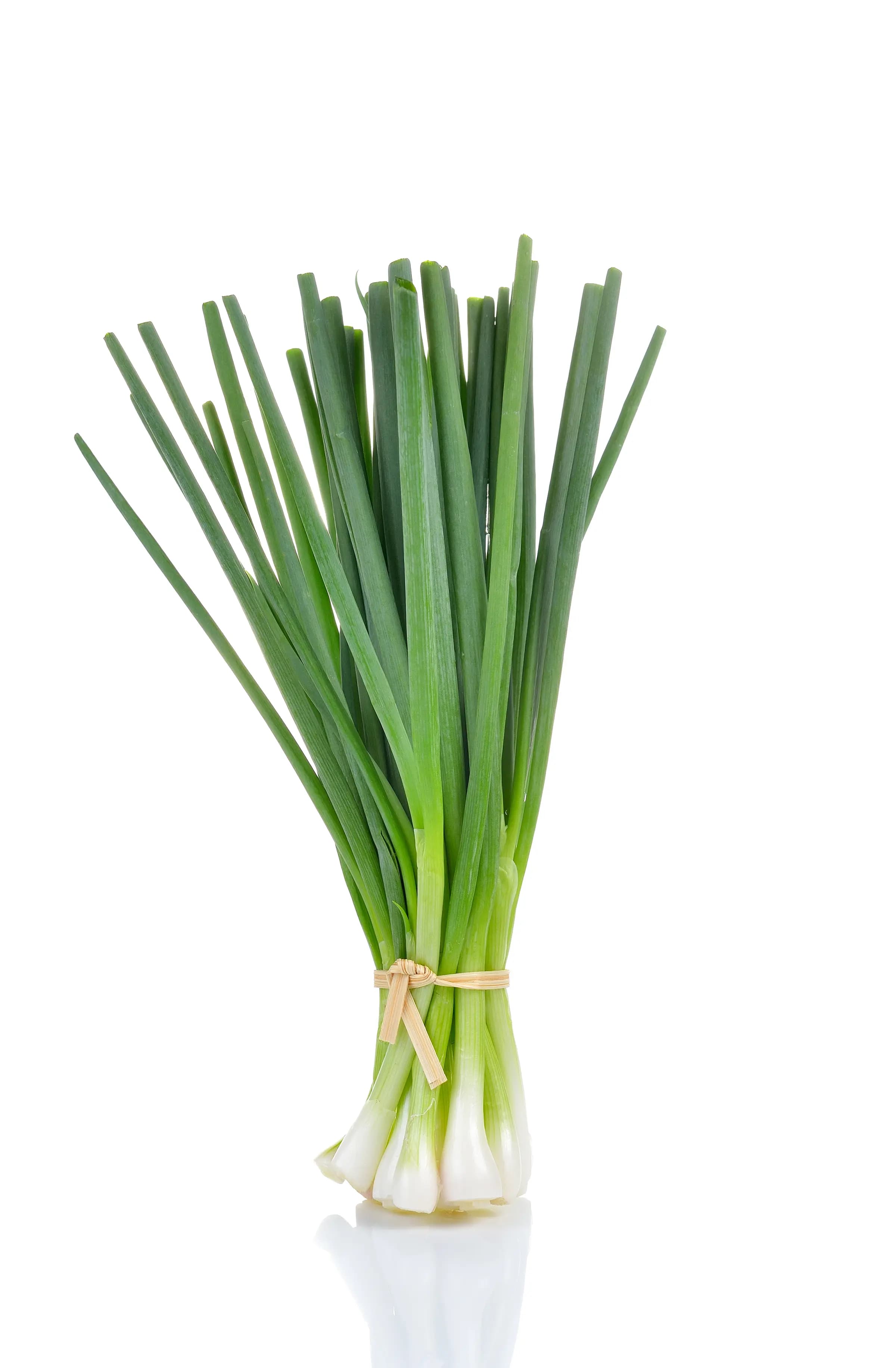Spring Onion Leaves 