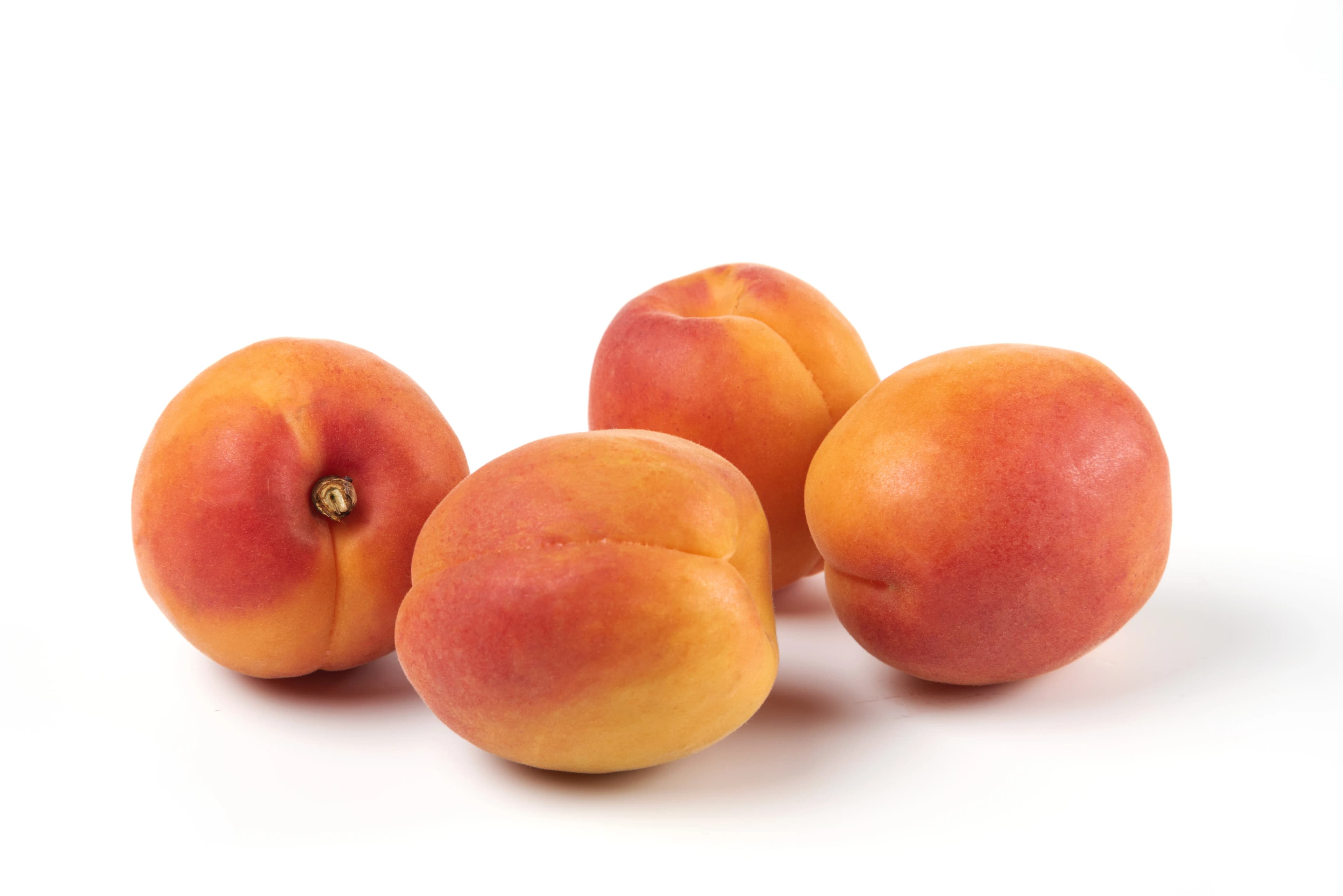 Apricot 