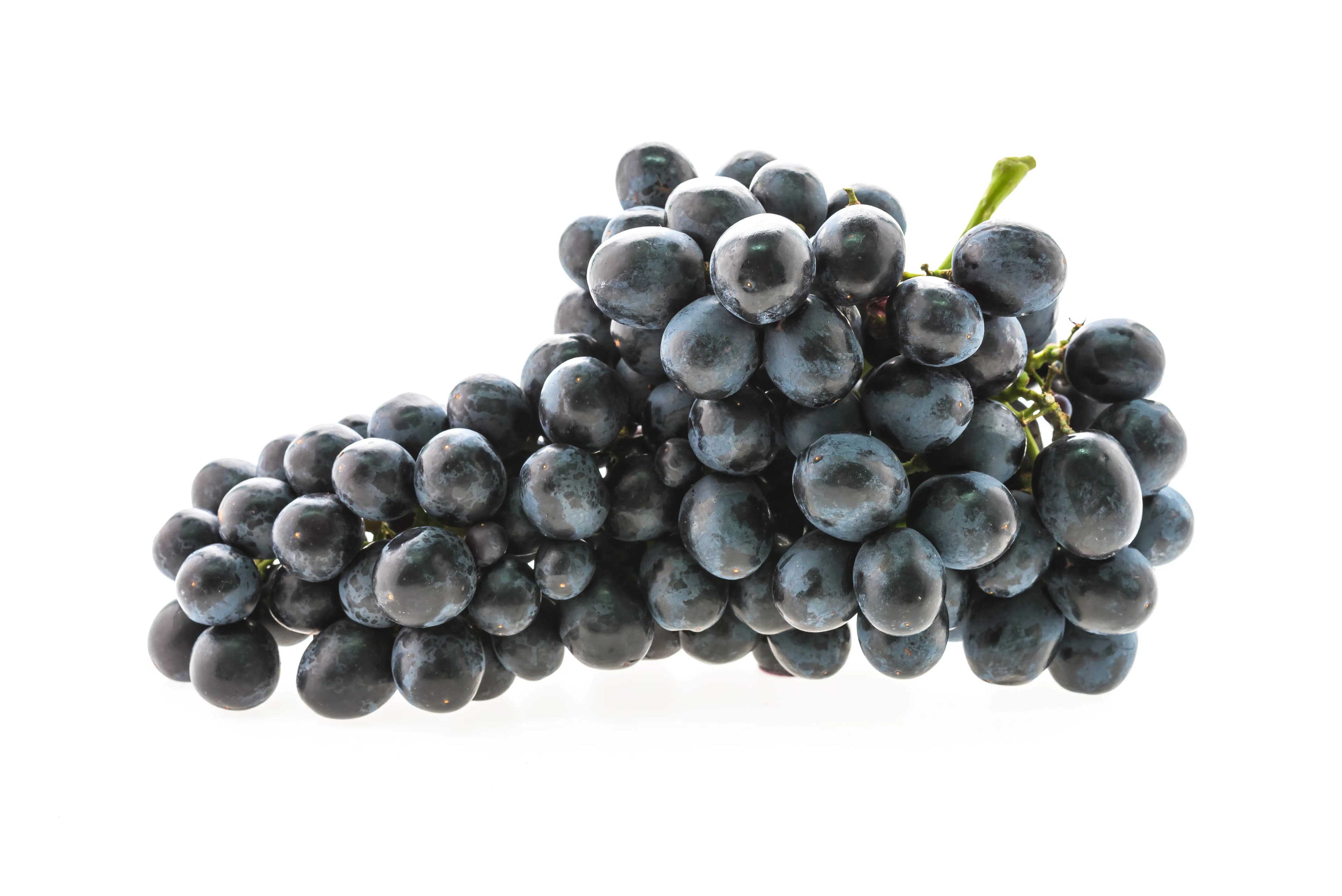Grapes Black 