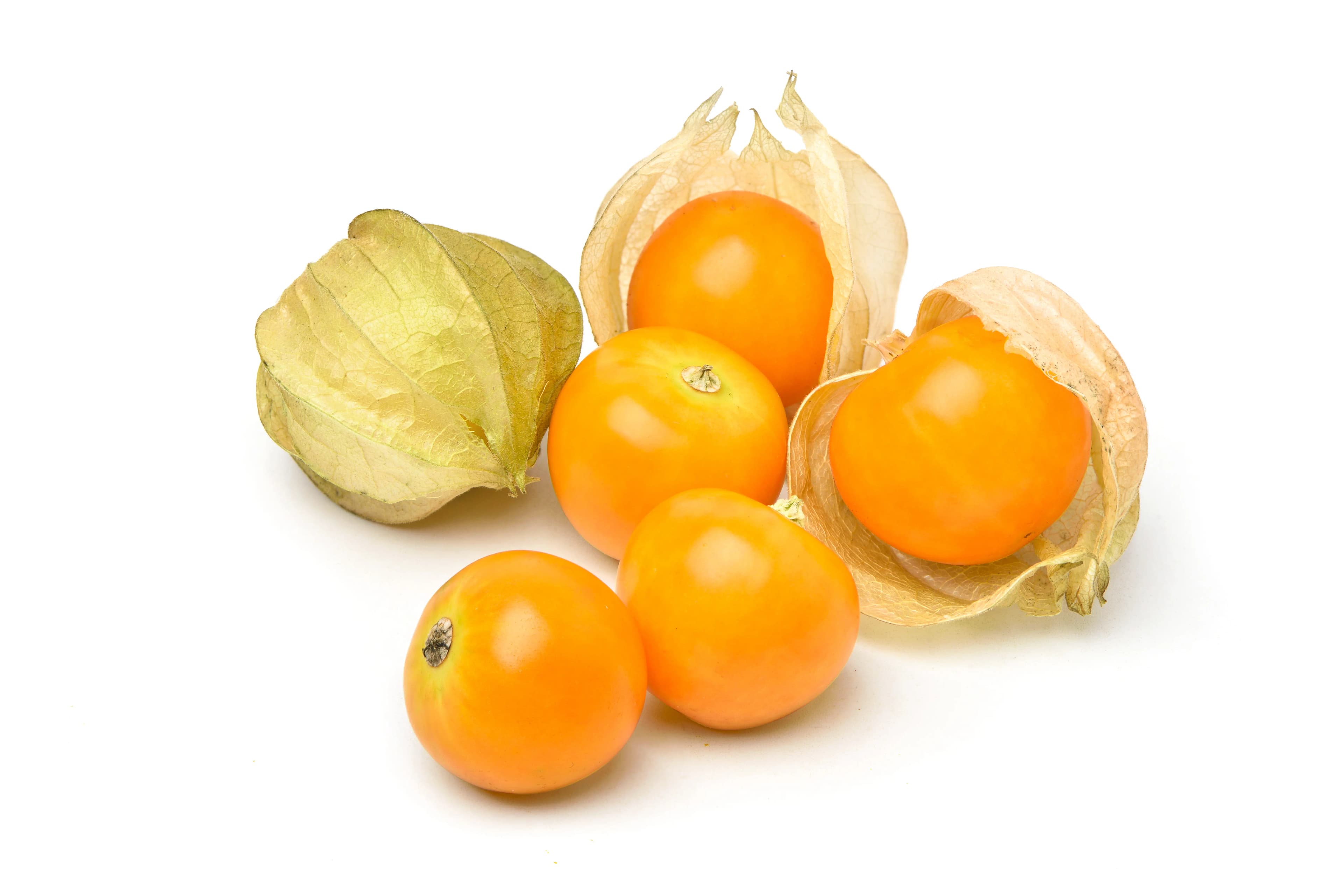 Golden Berry 