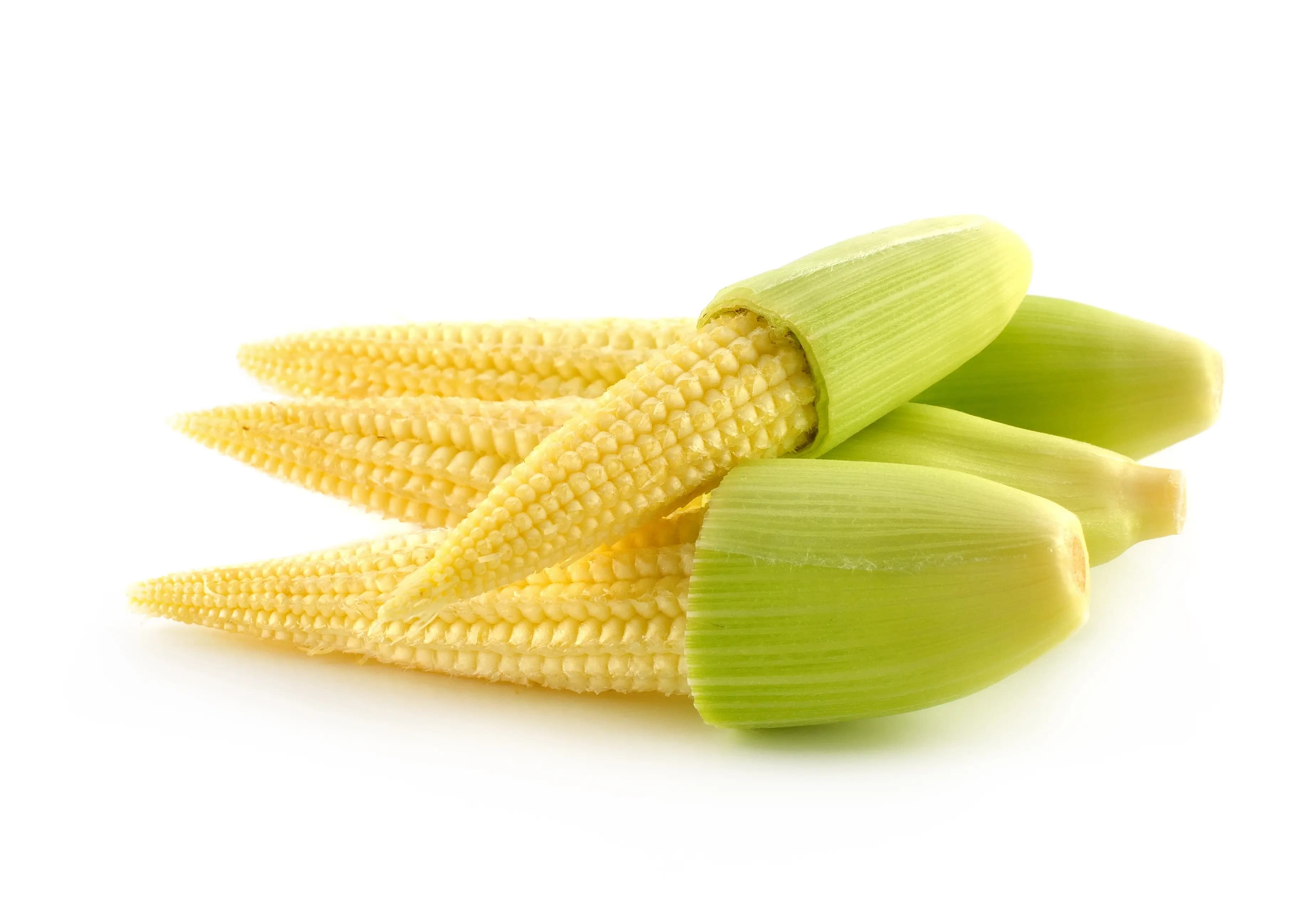 Baby Corn 