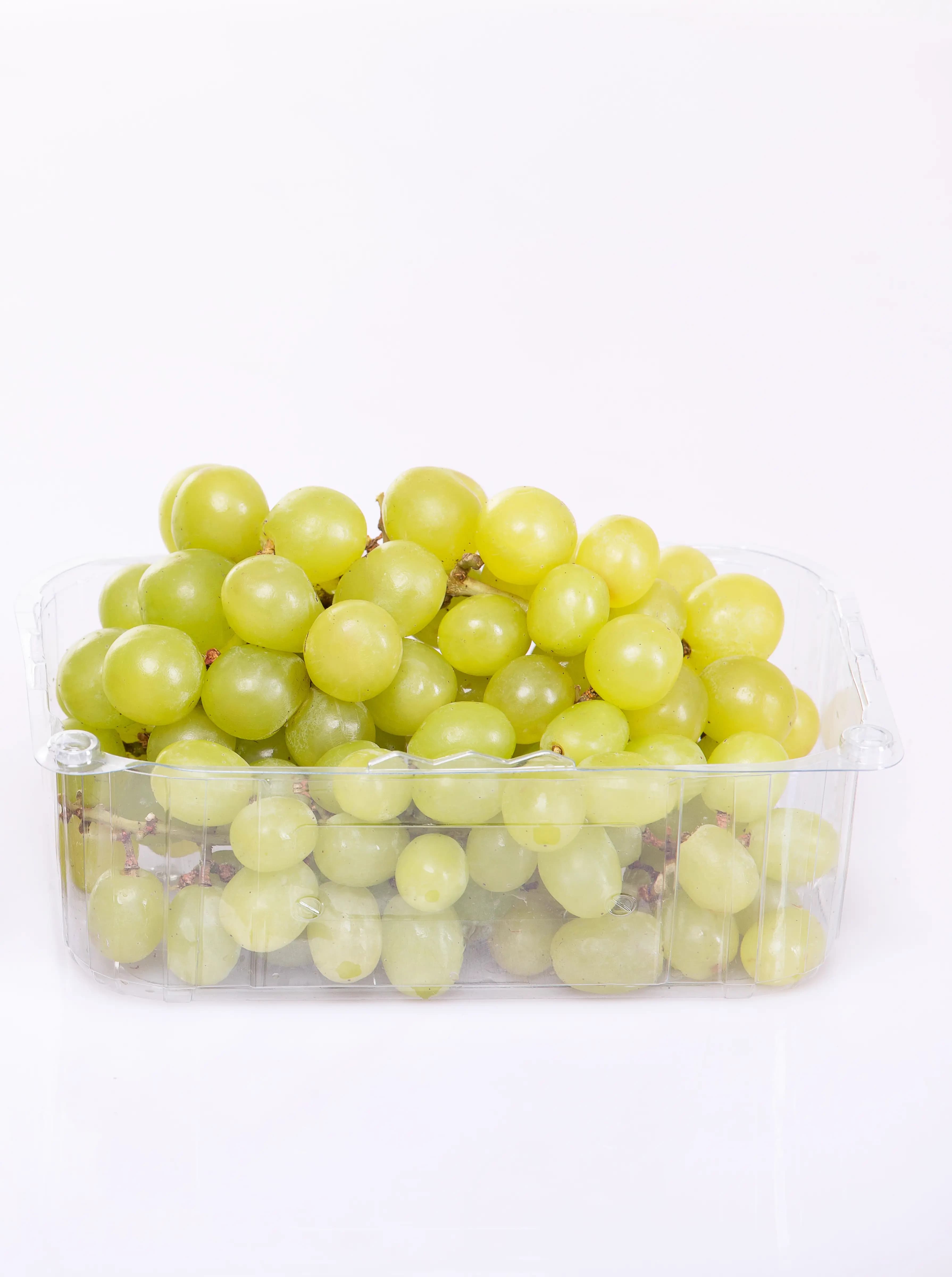 White Grape Box 500 g