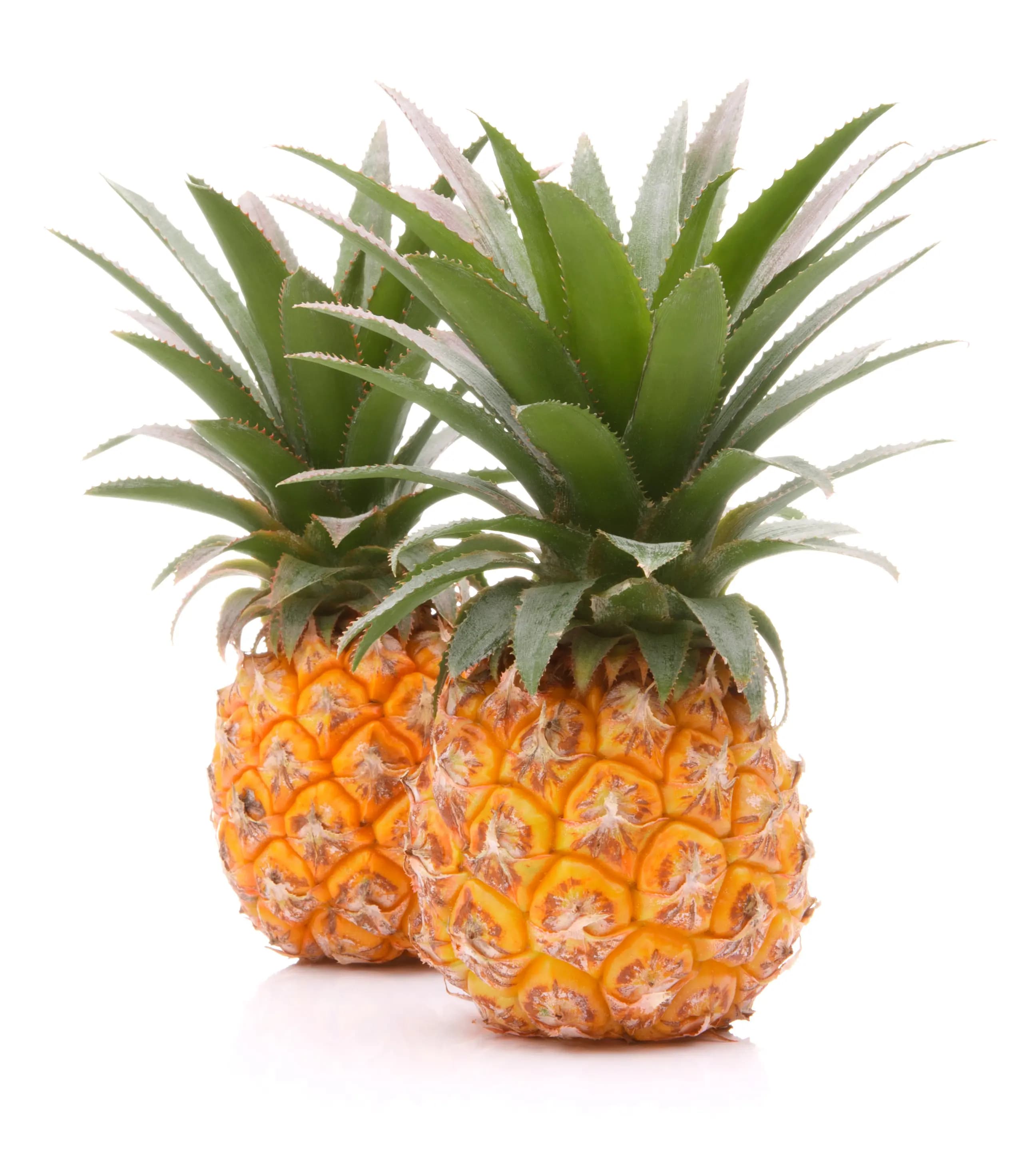 Pineapple Baby Africa 