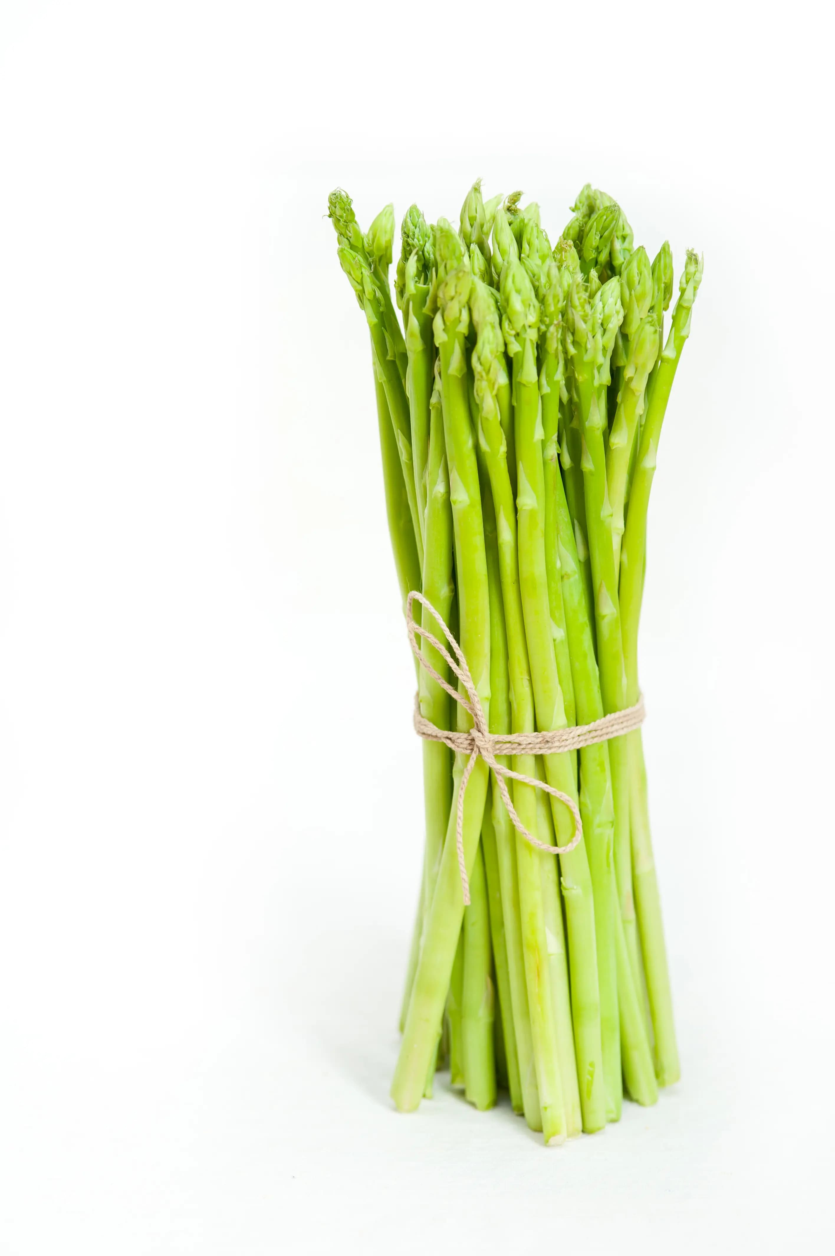 Baby Asparagus Thailand 