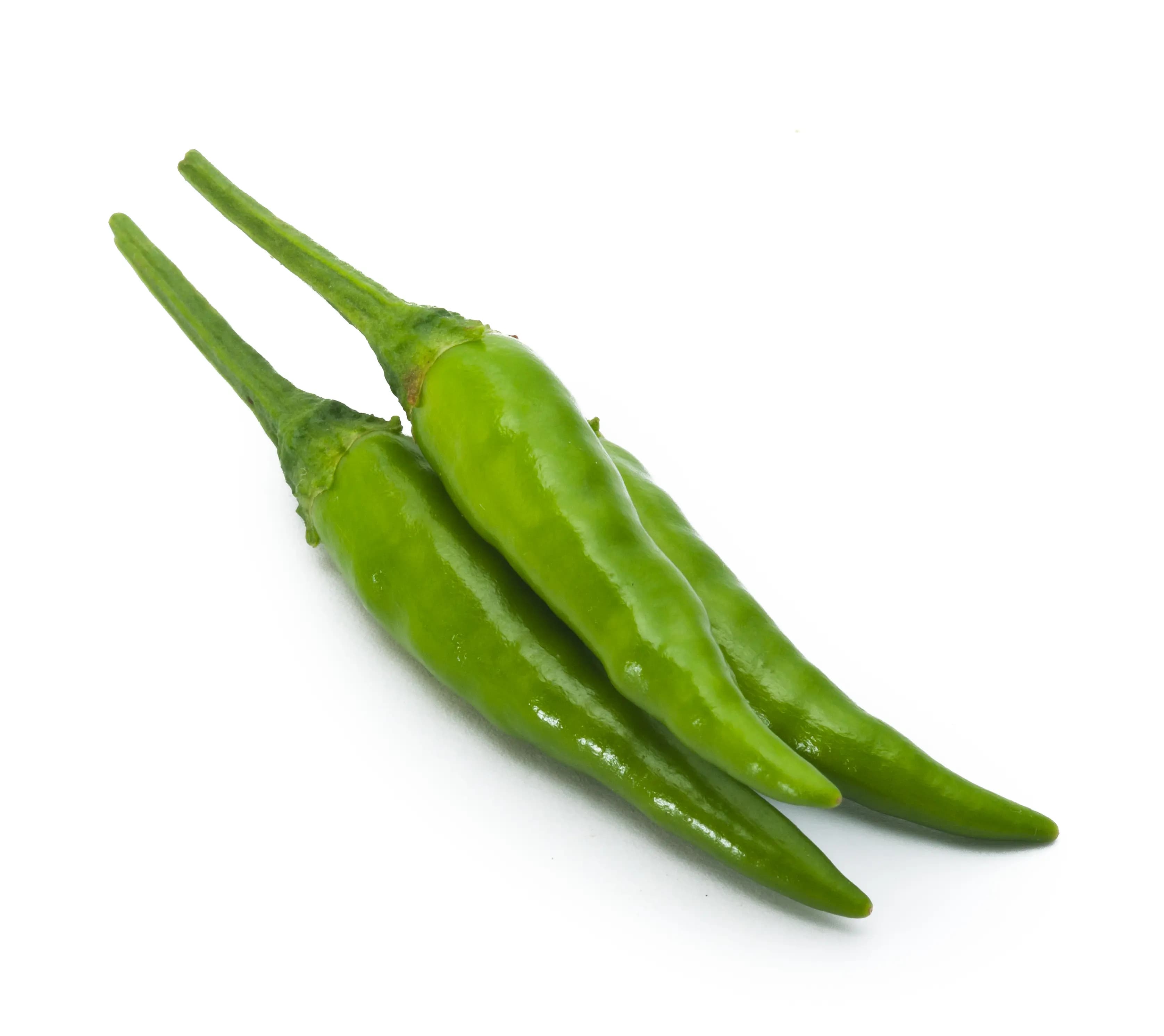 Chilli Green Thailand 