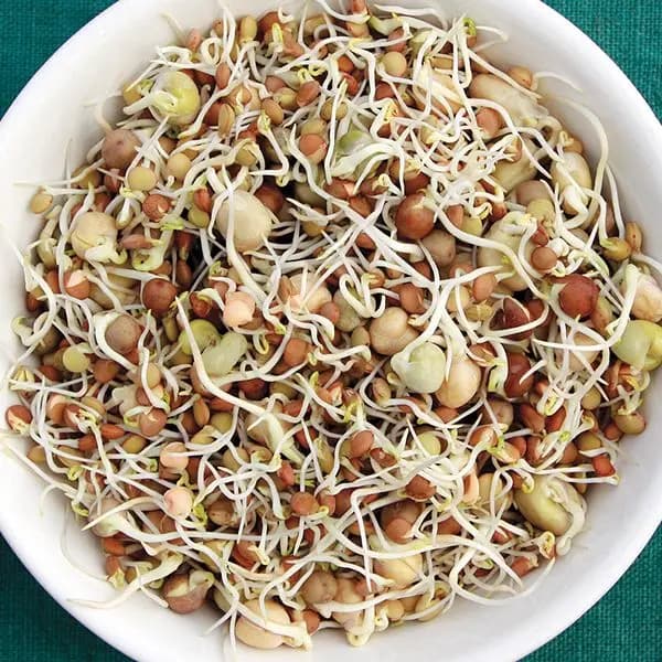 Beans Sprouts Mixed 250 g