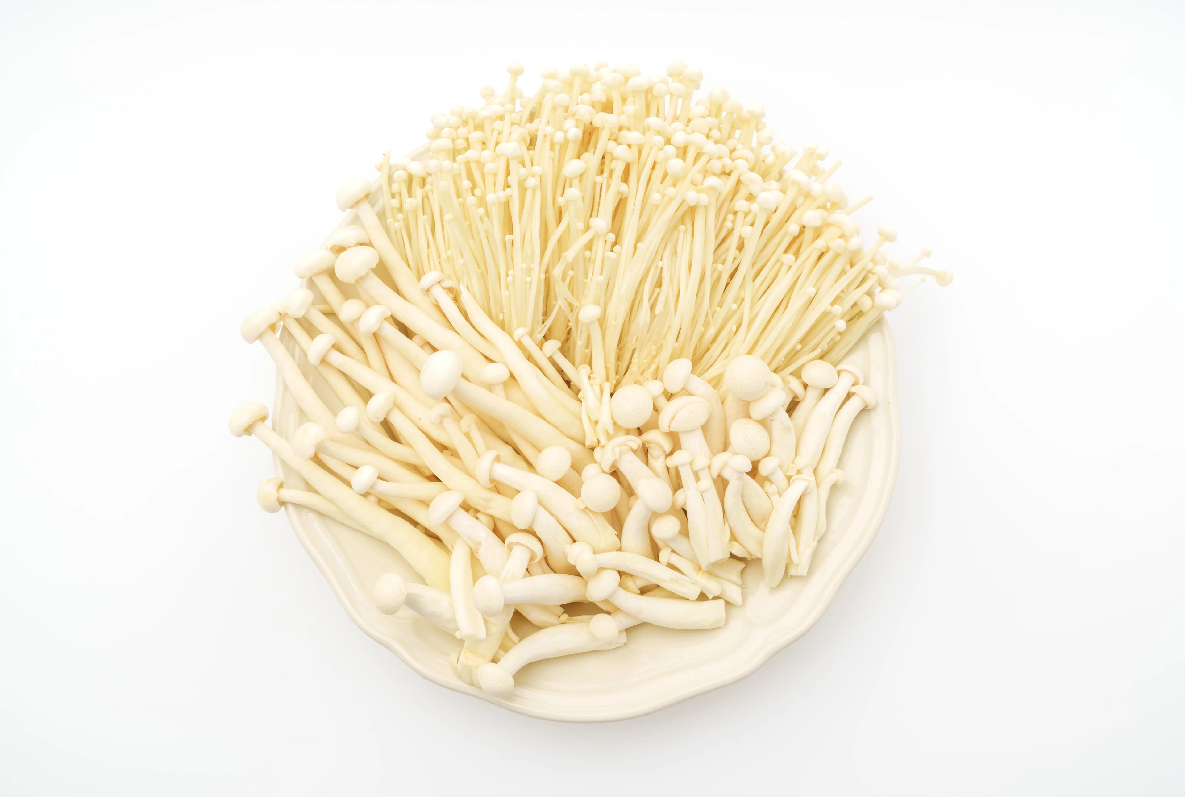Mushroom 