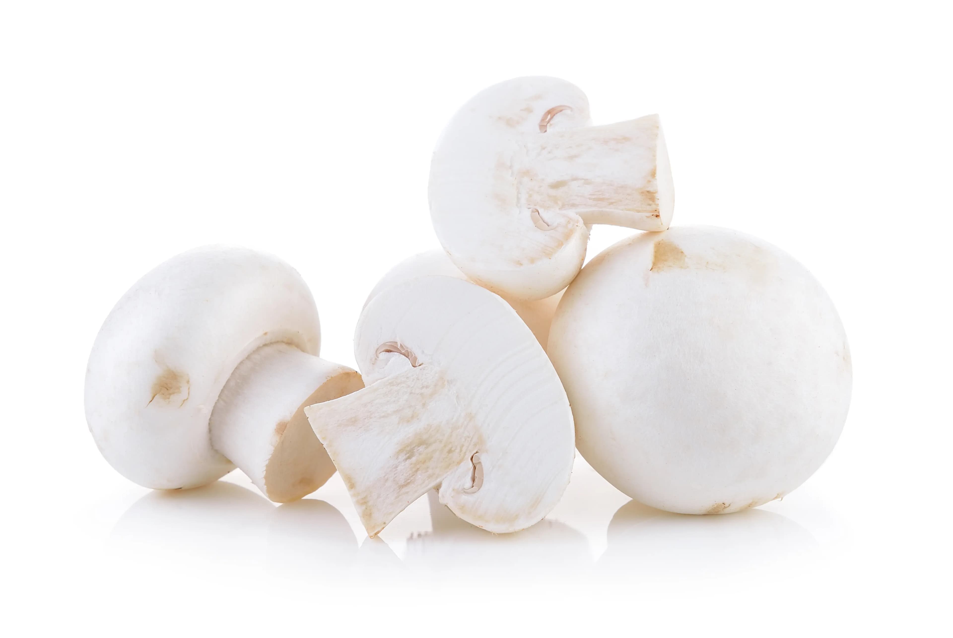 Mushroom Fresh Button White 